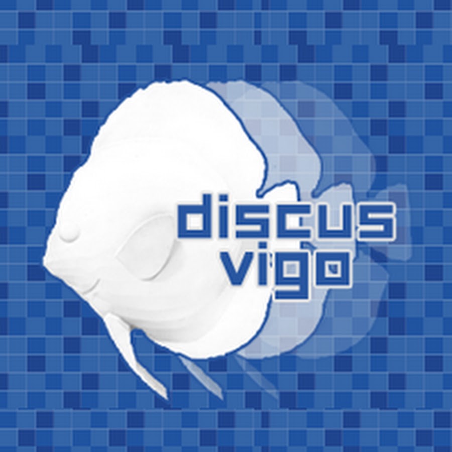 Discus Vigo رمز قناة اليوتيوب