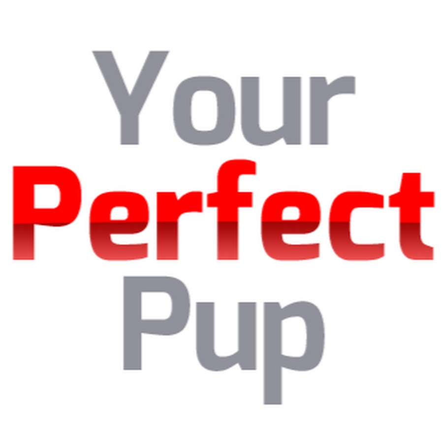 Your Perfect Pup