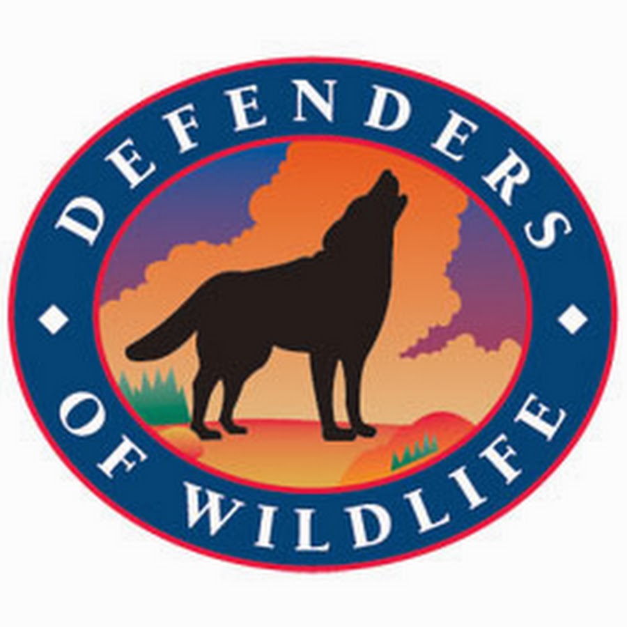defendersofwildlife Аватар канала YouTube