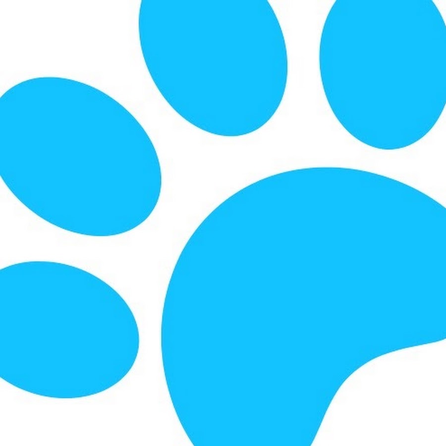 Paws and Prada YouTube channel avatar