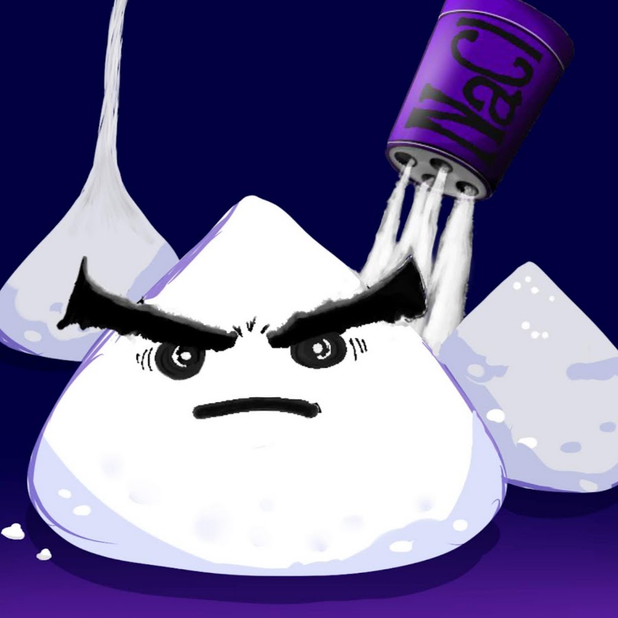 The Salt Factory YouTube channel avatar