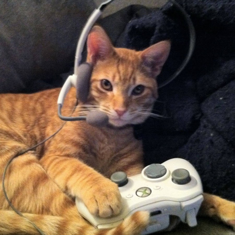 CATS Gamer رمز قناة اليوتيوب