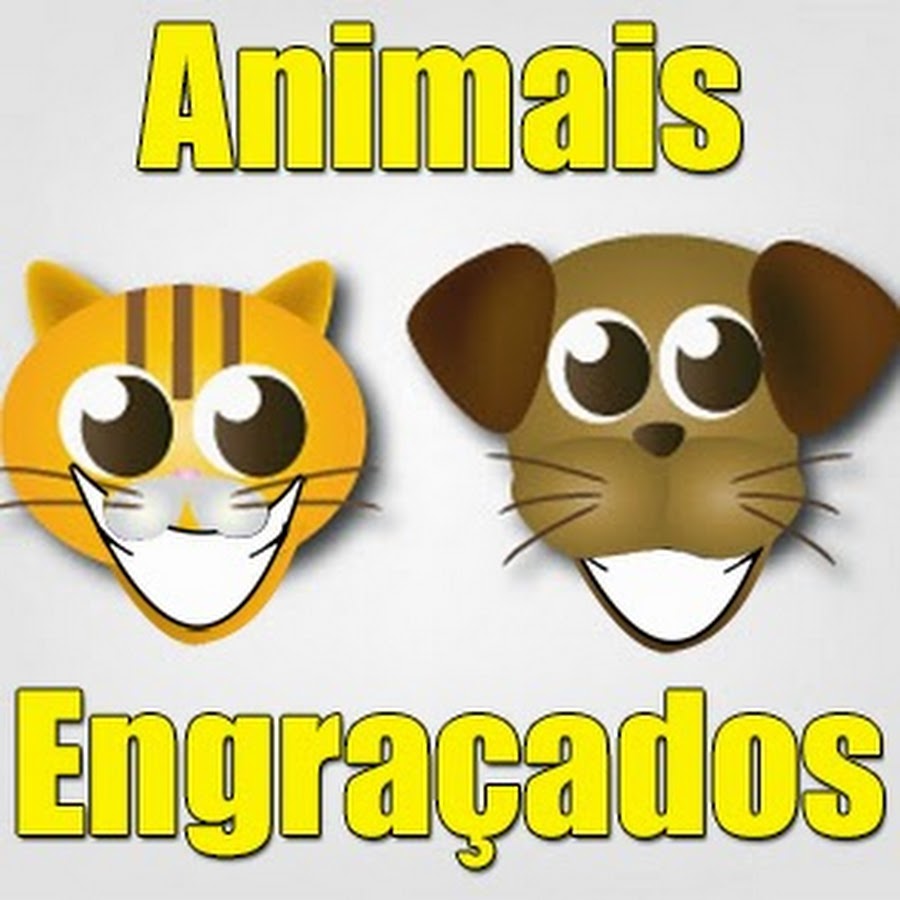 Animais EngraÃ§ados YouTube 频道头像