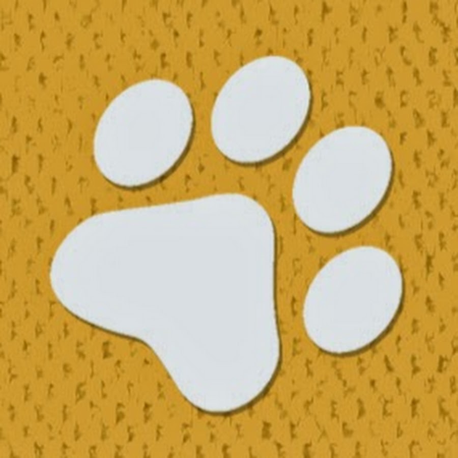 Consejos para mascotas YouTube channel avatar