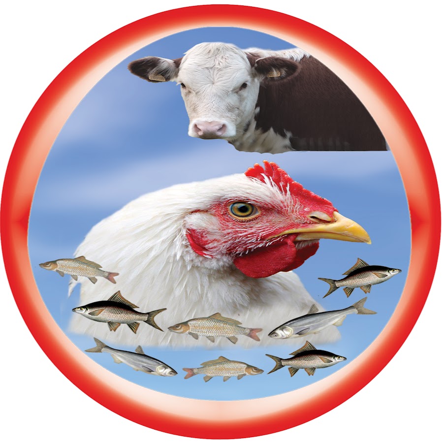 Growel Agrovet Private Limited YouTube 频道头像