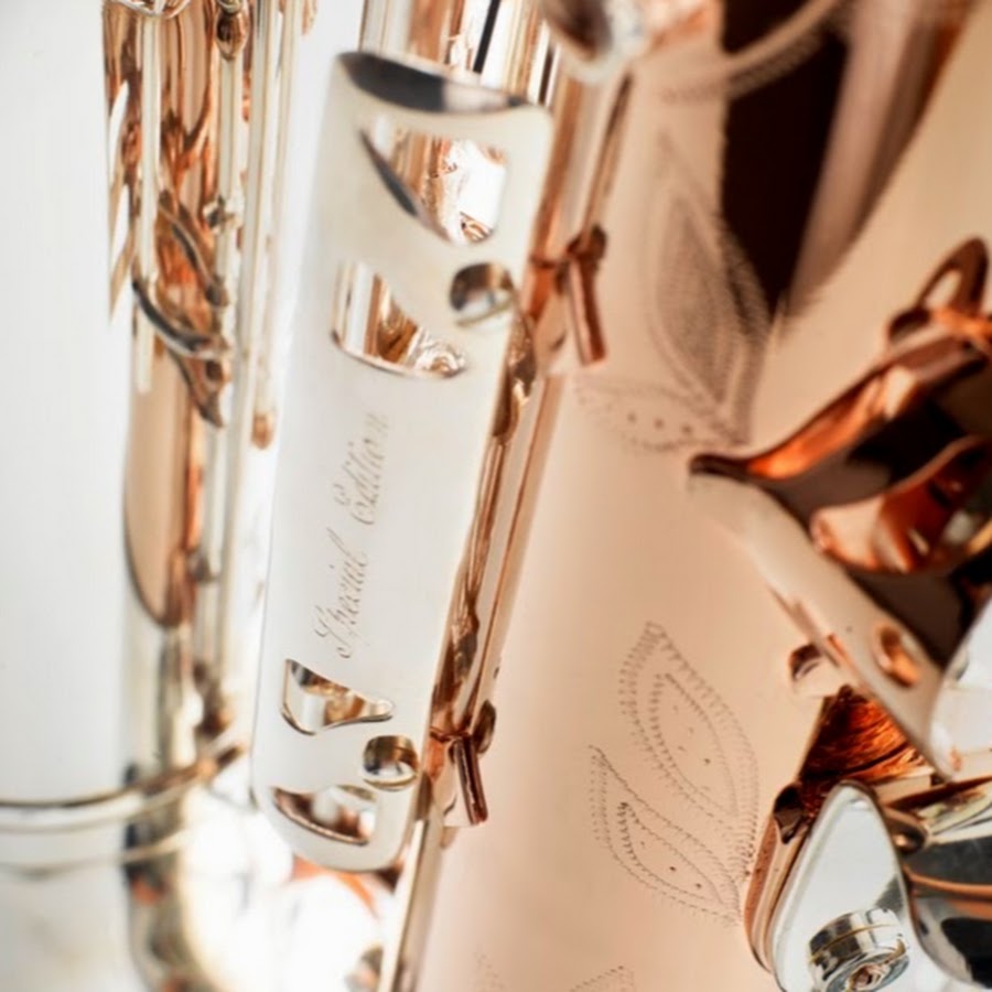 Borgani Saxophones ইউটিউব চ্যানেল অ্যাভাটার