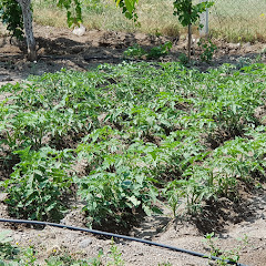 Thumbnail of related channel