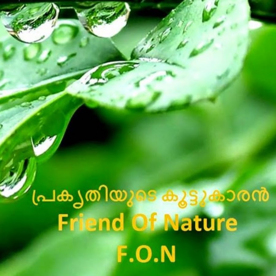 Friend OF Nature رمز قناة اليوتيوب