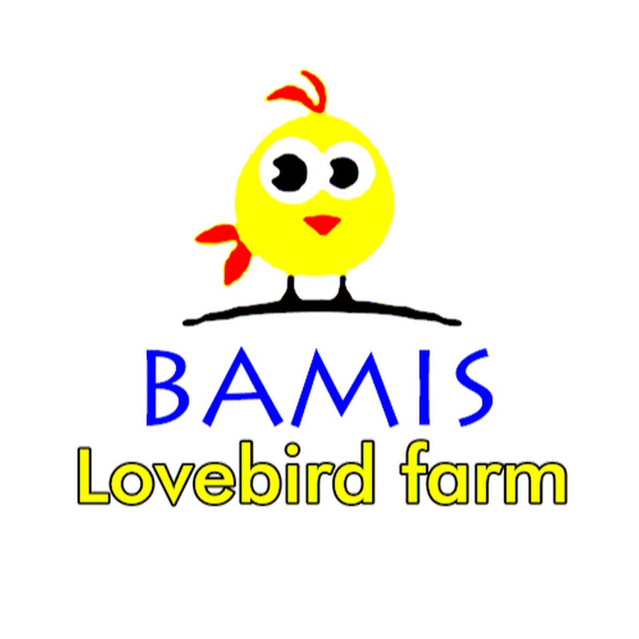 Bamis Lovebird Farm