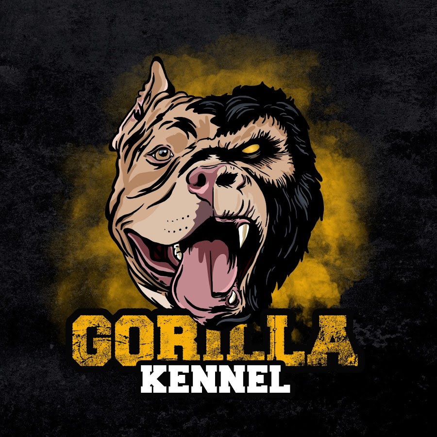 Gorilla Kennel Avatar canale YouTube 