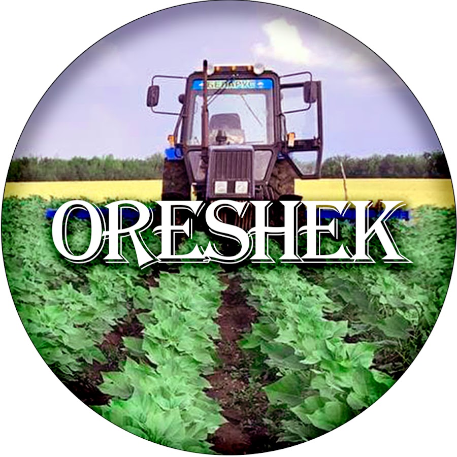 Oreshek YouTube channel avatar
