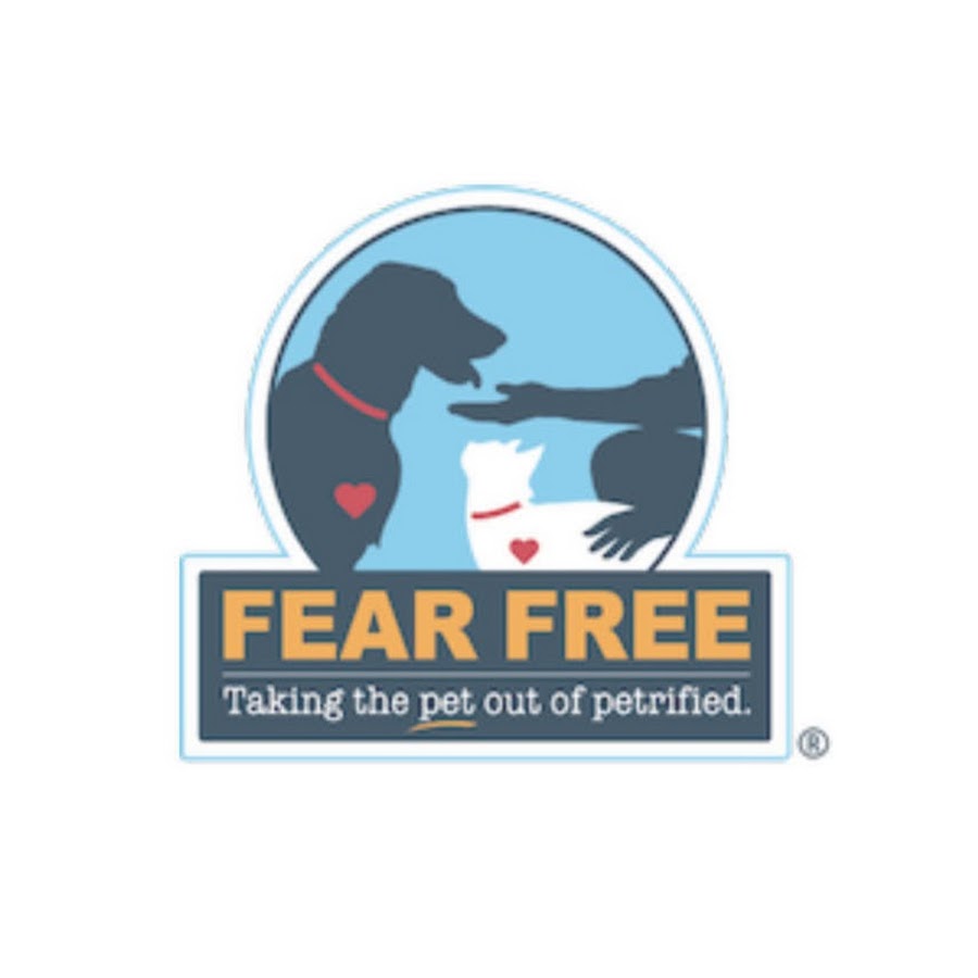 Fear Free Pets Avatar channel YouTube 