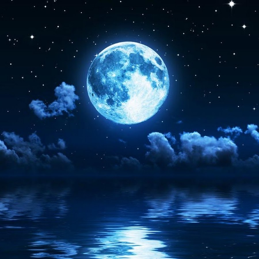 バナナザル逆から読んだらサルバナナ Youtube