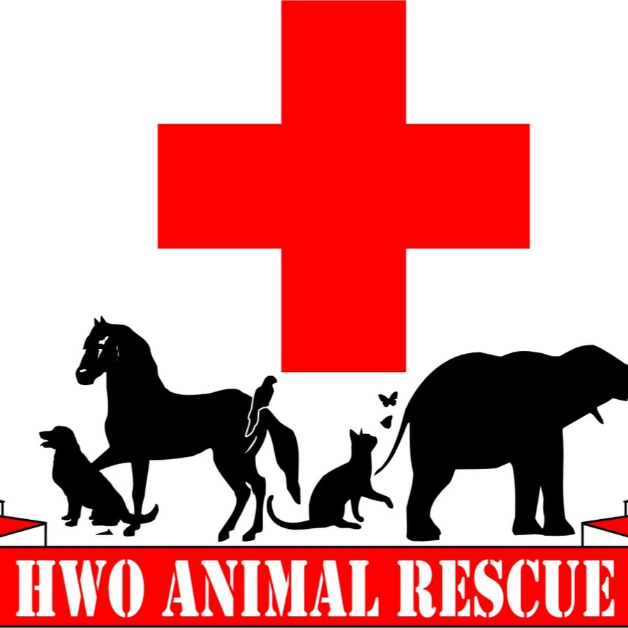 HWO Animal Rescue ইউটিউব চ্যানেল অ্যাভাটার