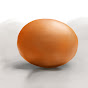 蛋タマコ