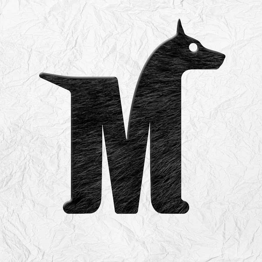 MINDFUN YouTube channel avatar