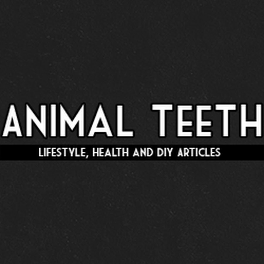 Animal Teeth YouTube 频道头像