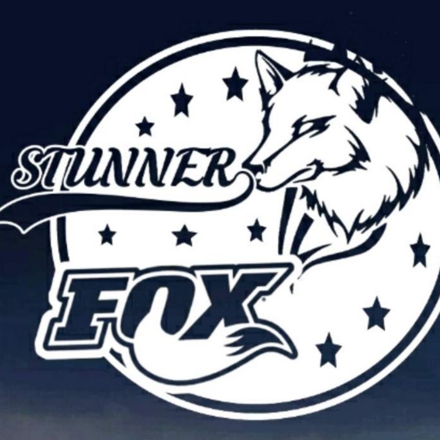 StunNeR fOx YouTube channel avatar