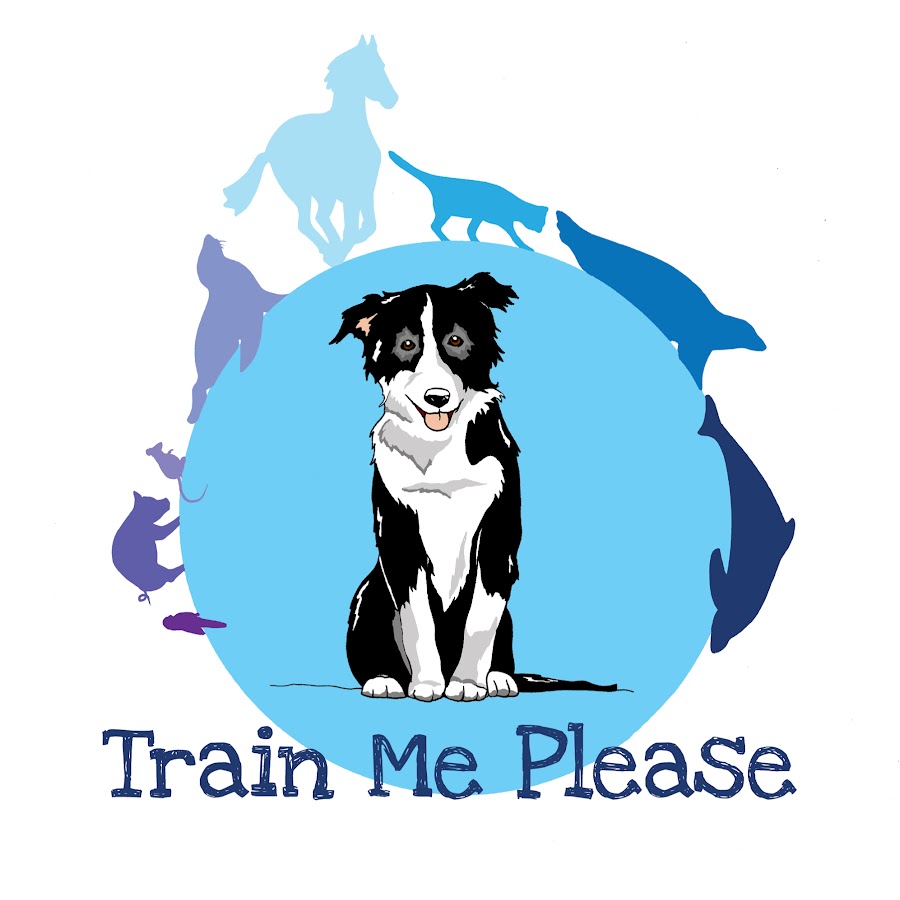 Train me please رمز قناة اليوتيوب