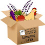 WCG - Summer Camp in a Box YouTube Profile Photo