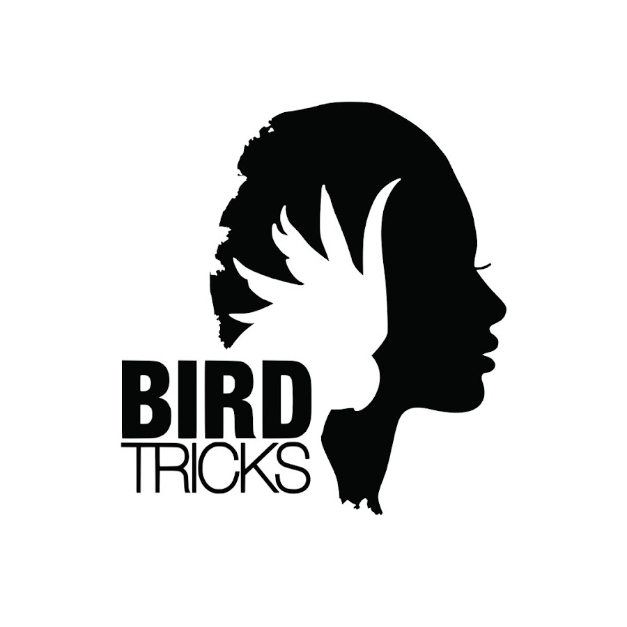 BirdTricks Avatar canale YouTube 