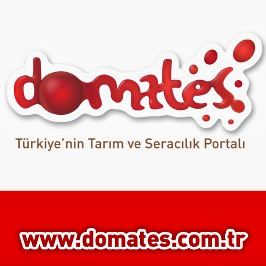 DomatesPortal YouTube 频道头像