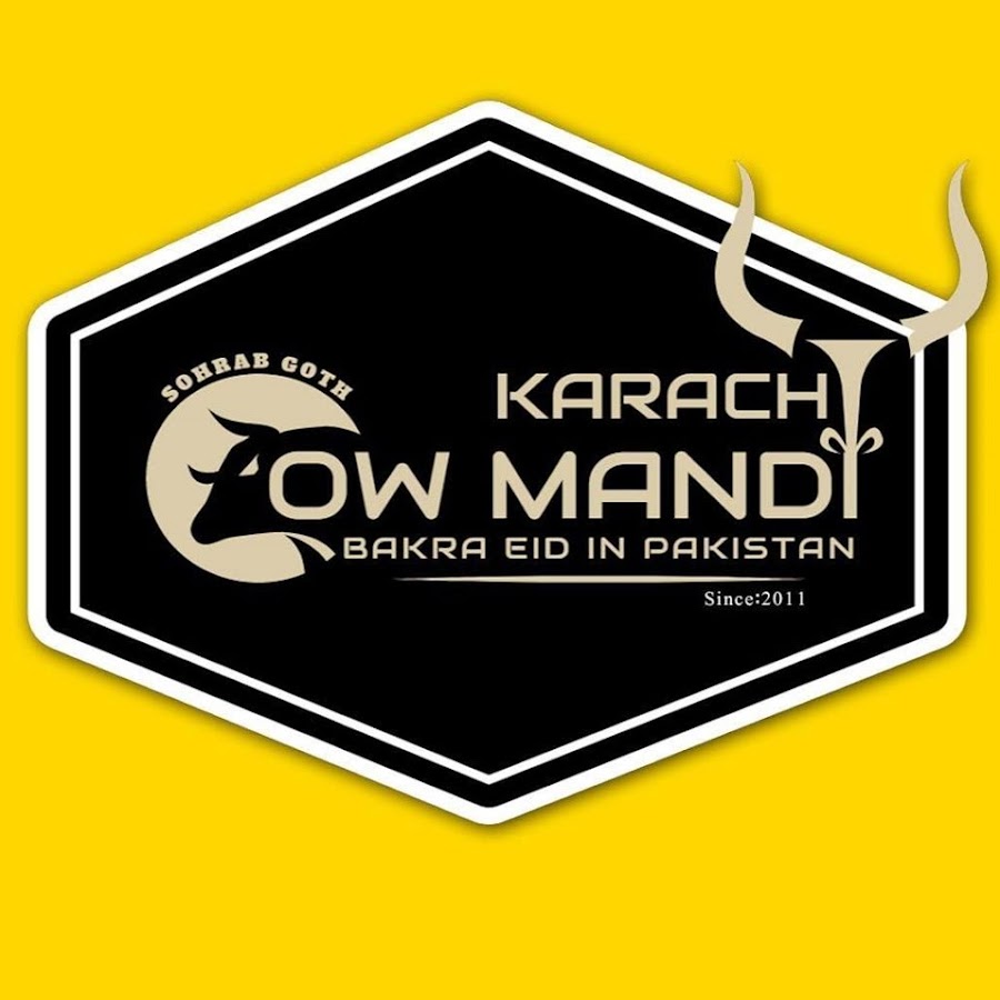 Karachi Sohrab Goth Cow