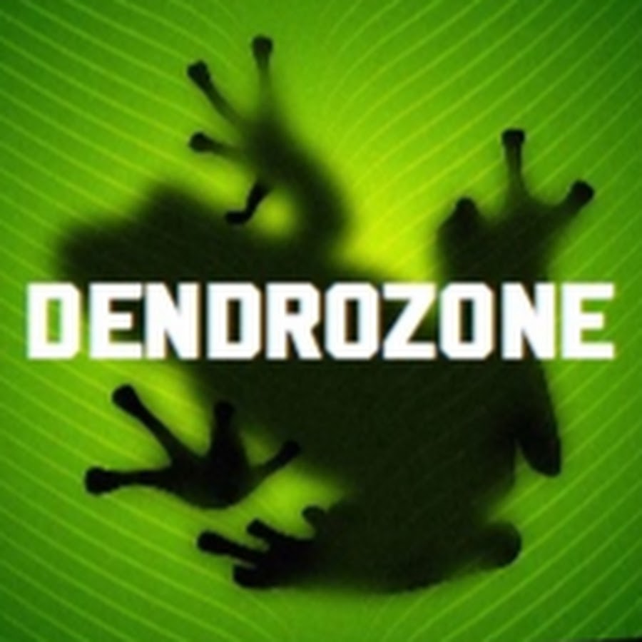 DendroZone Avatar de canal de YouTube