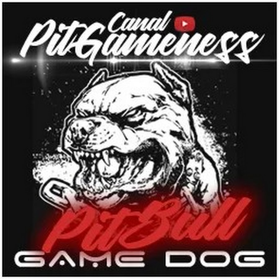 Canal Pitgameness Pit Bull