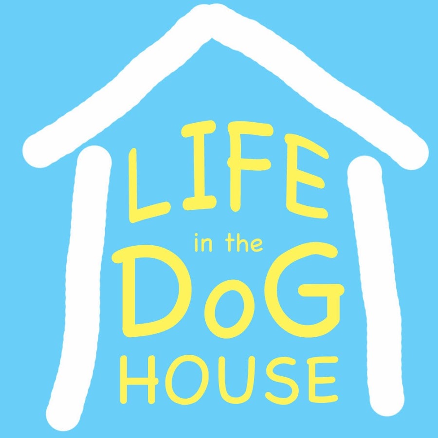 Life in the Dog House Awatar kanału YouTube