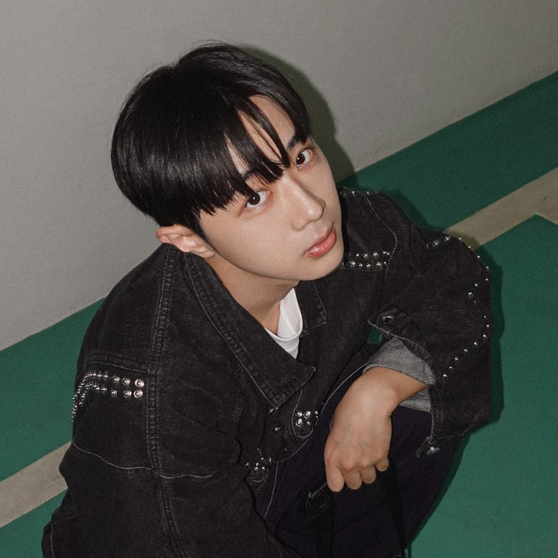 張灝 - 網紅的藏寶箱 