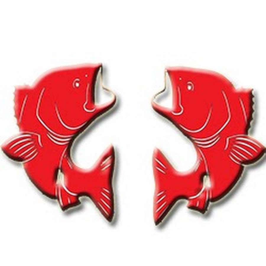 Dicas e Pescas YouTube channel avatar