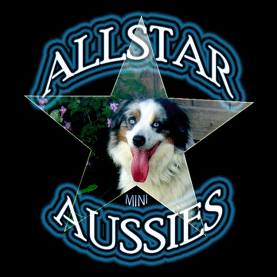 AllStarAussies رمز قناة اليوتيوب