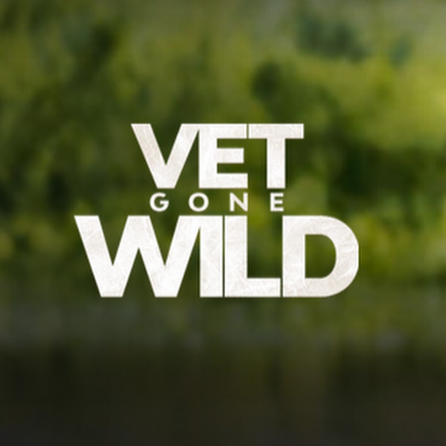 Vet Gone Wild Avatar canale YouTube 
