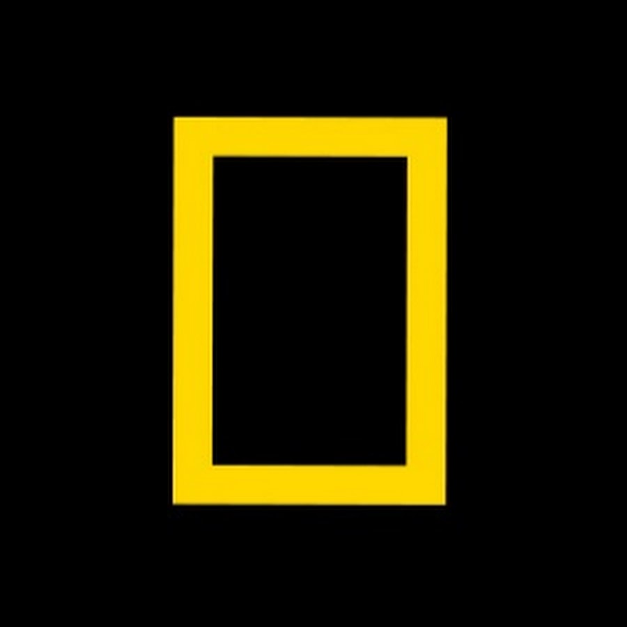 National Geographic India YouTube channel avatar