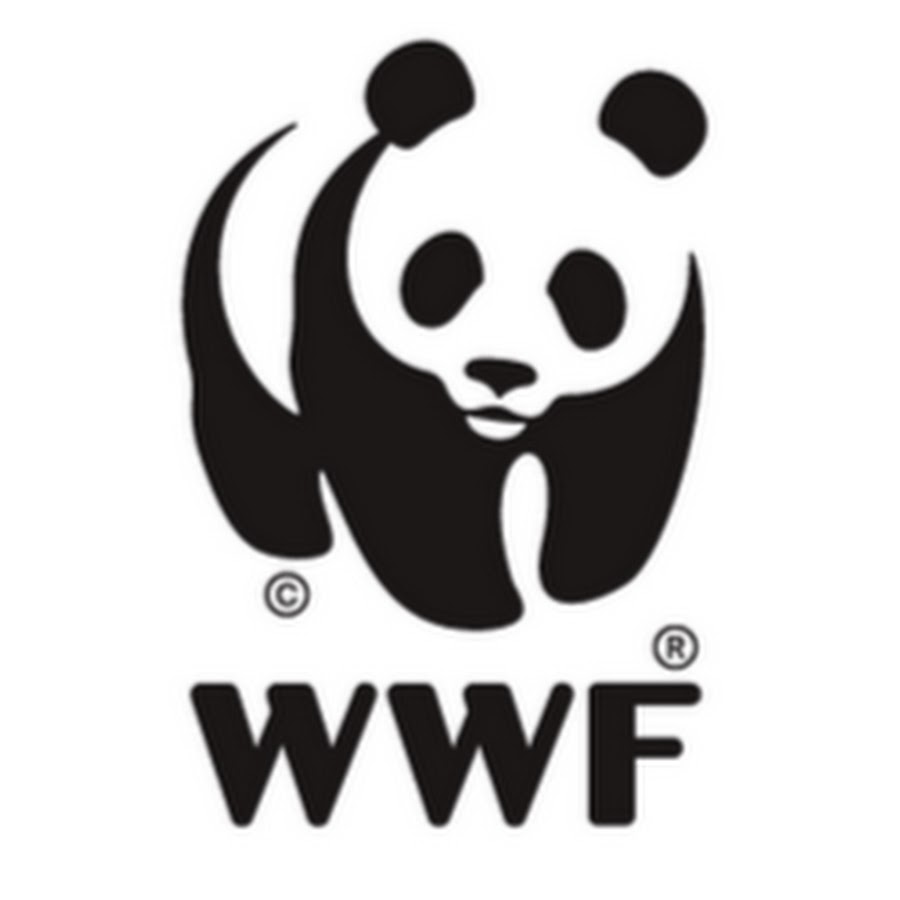 Descubre WWF YouTube channel avatar