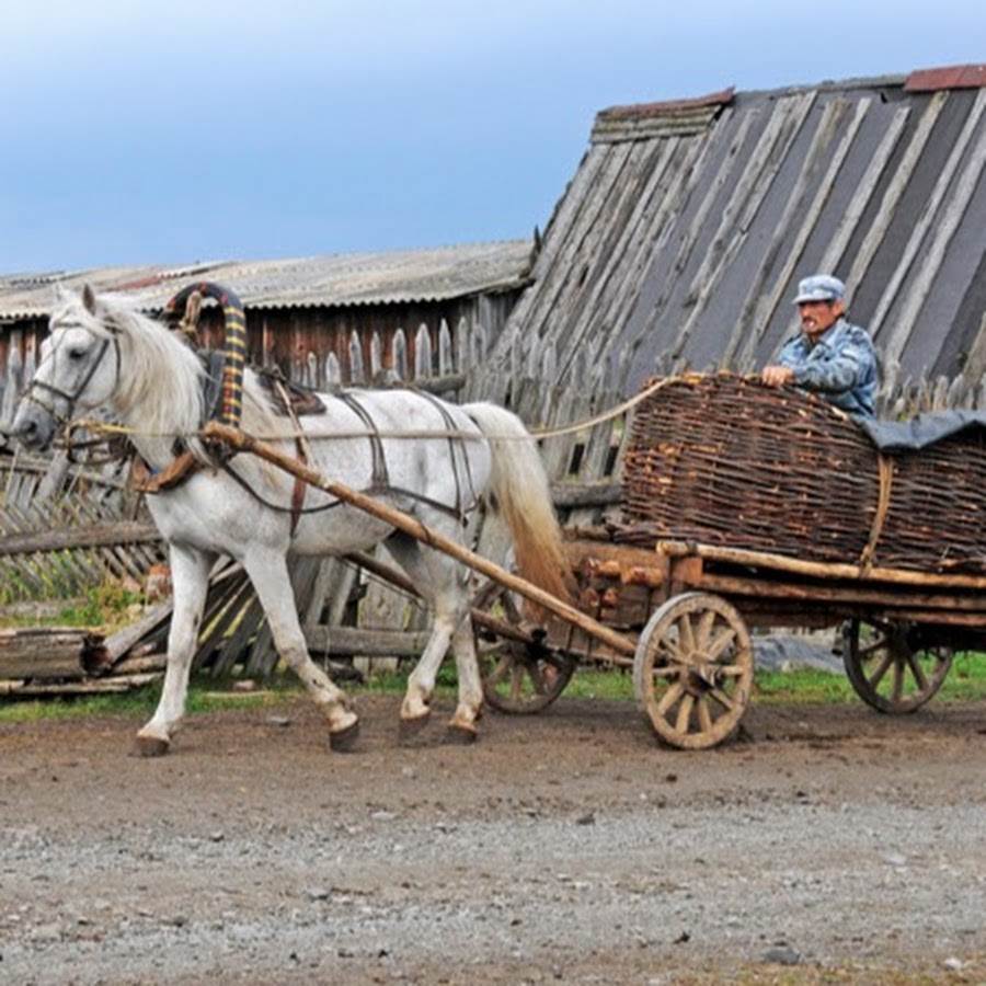 Ð–Ð¸Ð²ÐµÐ¼ Ð²