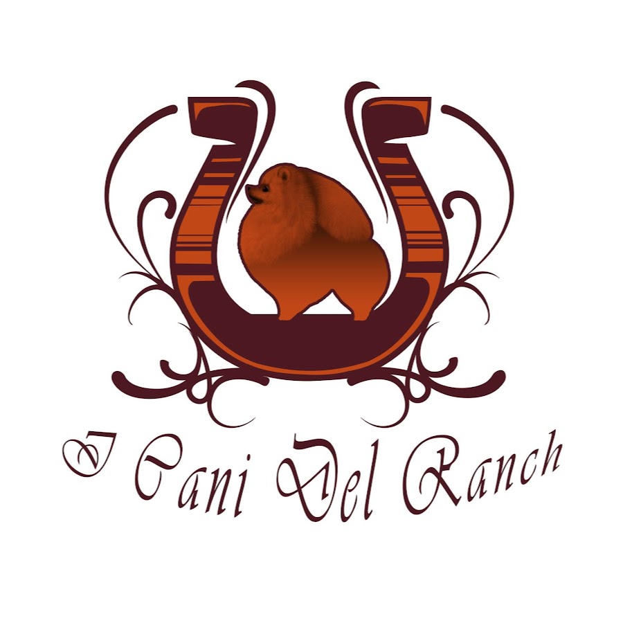 I Cani del Ranch यूट्यूब चैनल अवतार