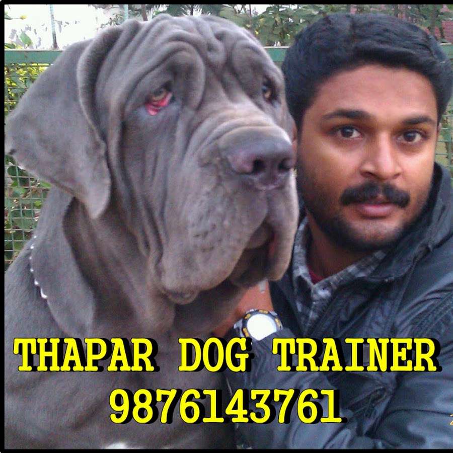 Rishi Thapar Avatar canale YouTube 