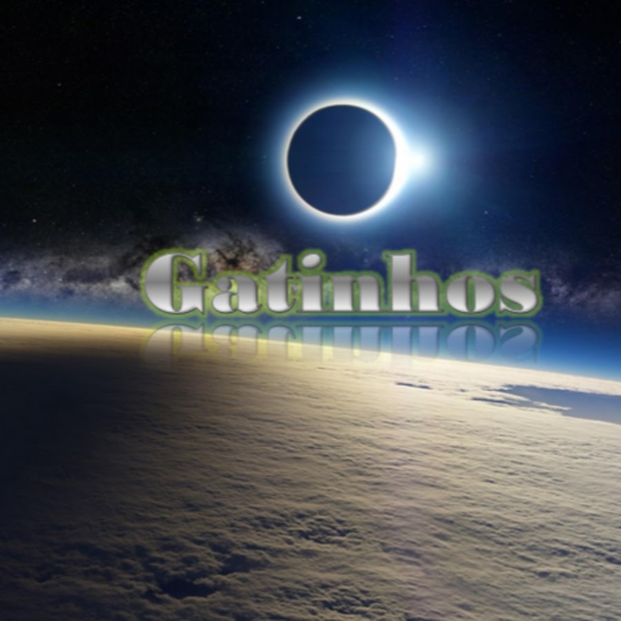 Gatinhos Tube YouTube kanalı avatarı