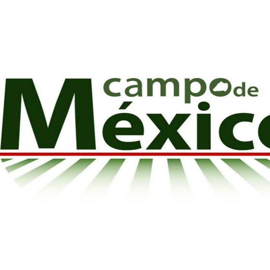 Campo de Mexico यूट्यूब चैनल अवतार