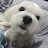 별오름tv