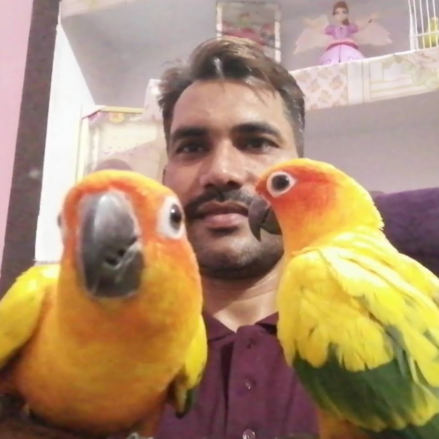 BIRDS AND ANIMALS YouTube 频道头像