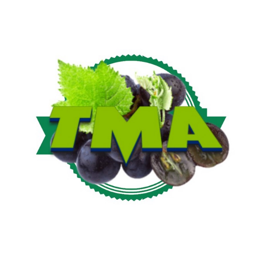 TMA GROUP ইউটিউব চ্যানেল অ্যাভাটার