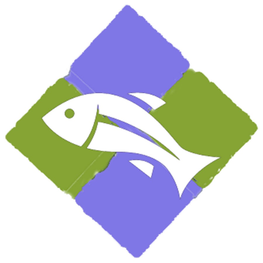 Fish Wildlife YouTube channel avatar