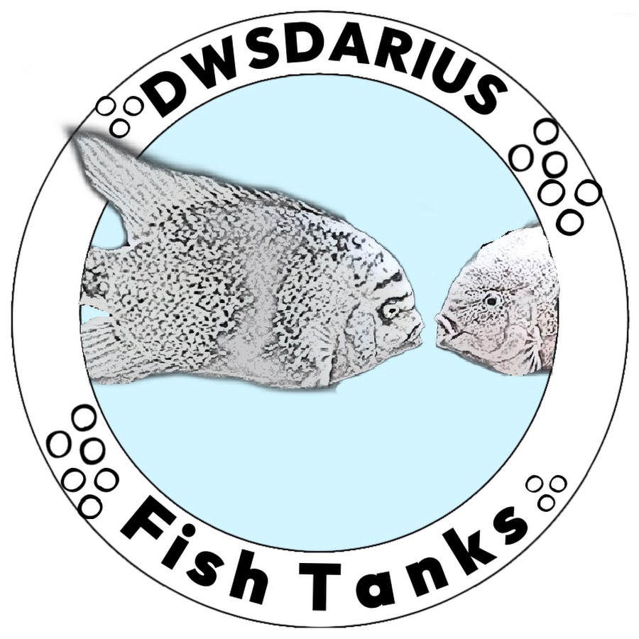 DWSDARIUS FISH TANKS YouTube kanalı avatarı