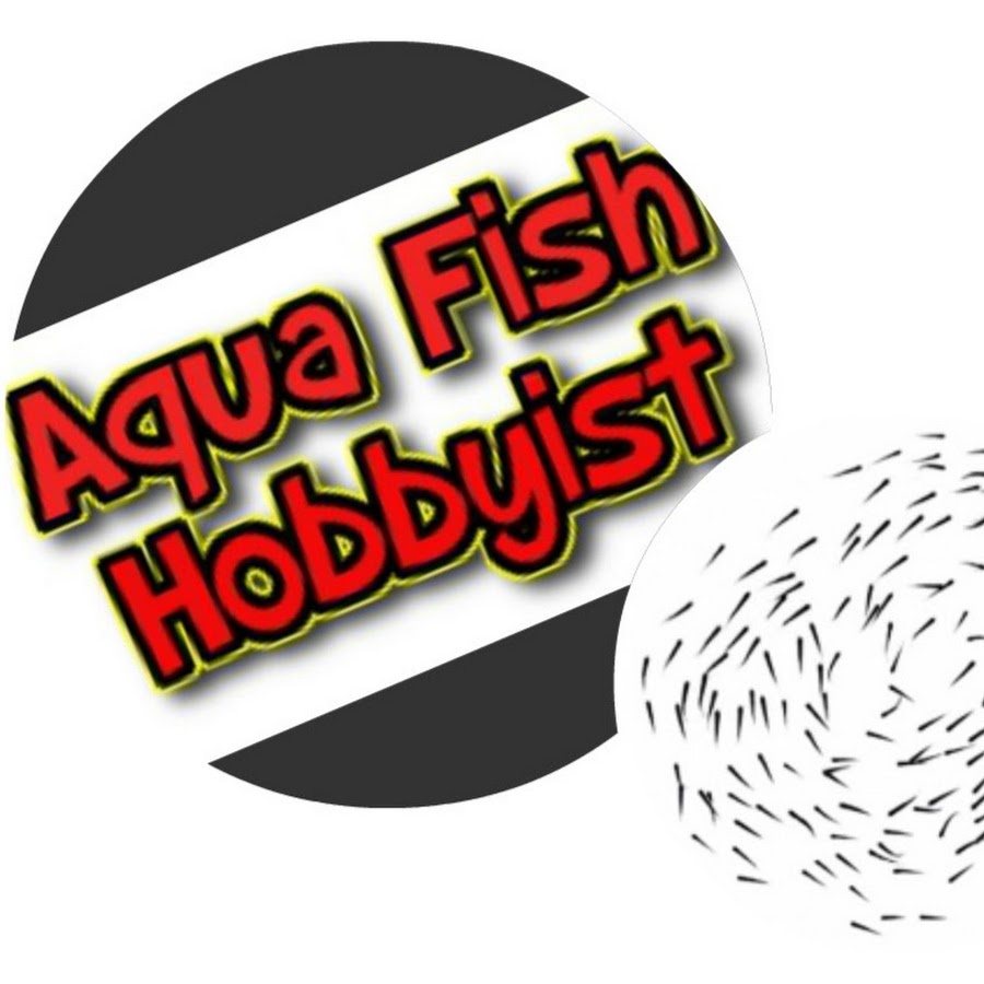 Aqua Fish Hobbyist رمز قناة اليوتيوب