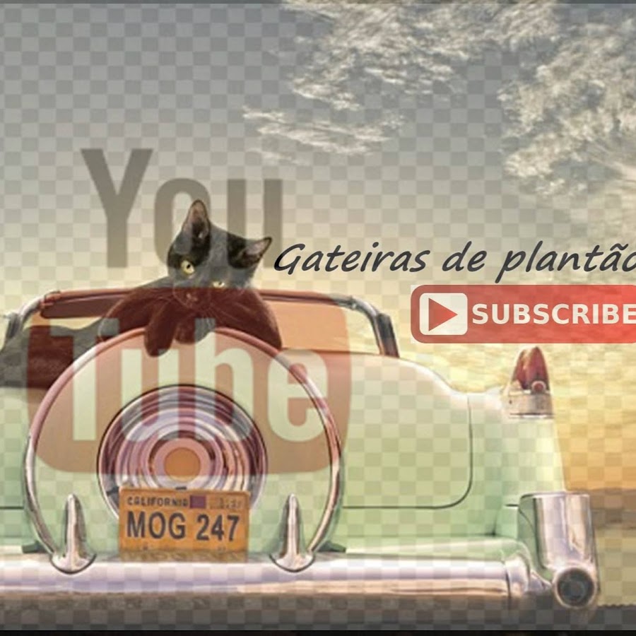 GATEIRAS DE PLANTÃƒO YouTube channel avatar