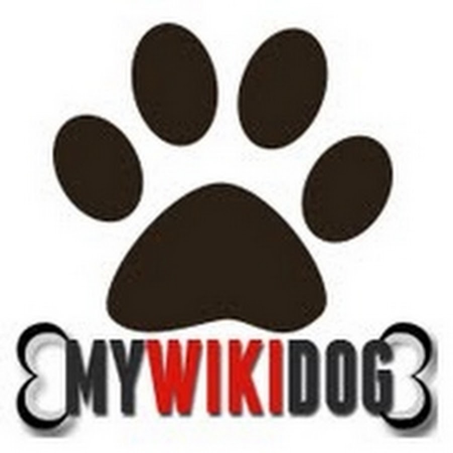 MYWIKIDOGTV YouTube kanalı avatarı