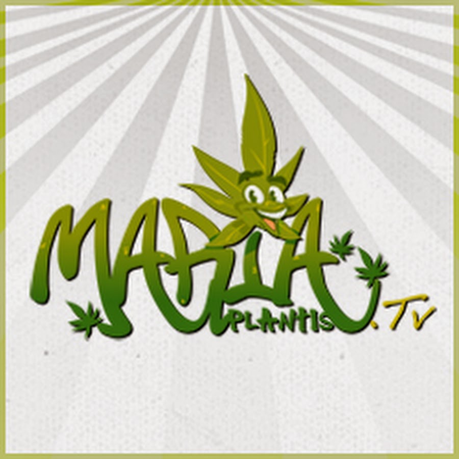 MariaPlantisTV HD Avatar canale YouTube 
